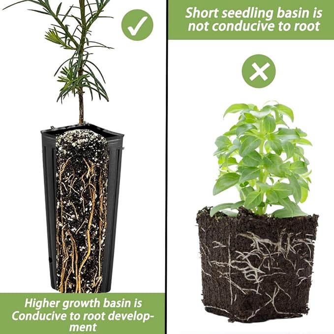 DredQcco Tall Deep Tree Pot, 50Pcs Plastic Plant Seedling Treepots Tall Flower Plant Container Starting Pots with Drainage Holes Flower Container for Indoor Outdoor Garden Plants 9.8" H x 4.7" W DredQcco