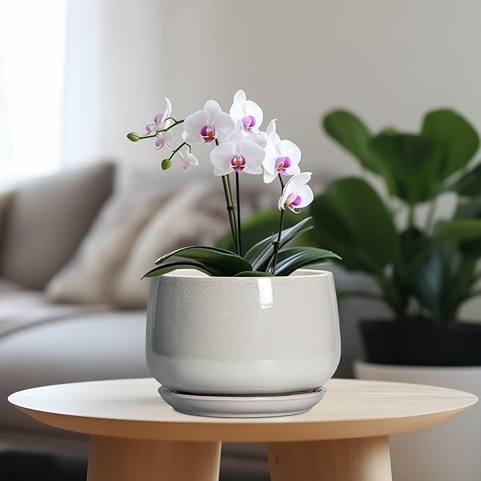 G EPGardening Ceramic Plant Pots - 7 Inch Plant Pot with Drainage and Saucer, Ceramic Planters for Indoor Outdoor Plants, Modern Round Planter, Room Decor, Gardening Gifts for Women Men, Light Grey GEPGardening