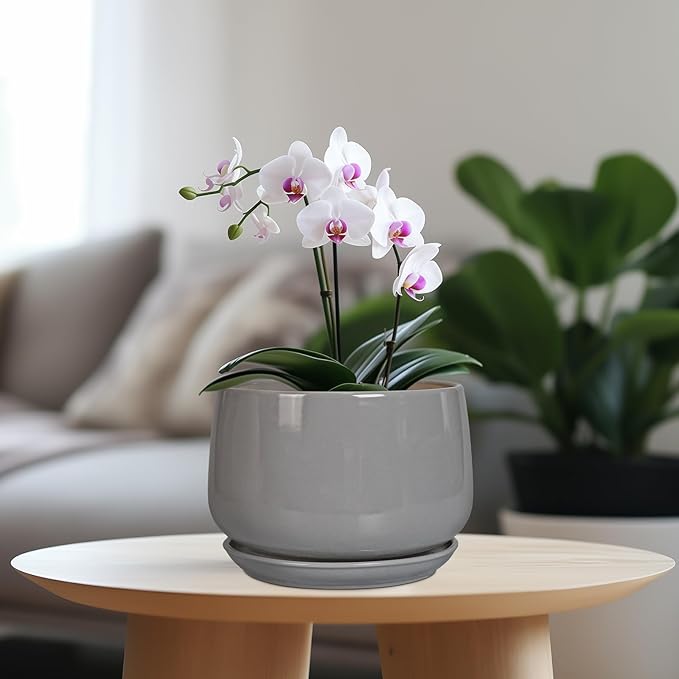 G EPGardening Modern Ceramic Planter - 7 Inch Round Modern Plant Pot Indoor with Drainage and Ceramic Tray Indoor Outdoor for Flower, Vanity Decor, Birthday Gifts, Grey GEPGardening