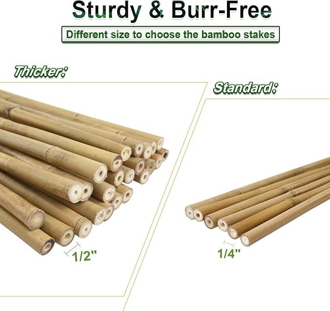 25pcs 1/2" D Thicker Heavy Duty Bamboo Stakes, 4.75FT Plant Stakes, Natural Garden Stakes for Tomato, Bean, Flowers,Trees Potted and Climbing Plant Support Jollybower