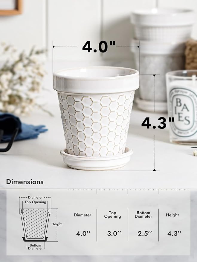 LE TAUCI Ceramic Succulent Pots, 4 Inch Small Plant Pot for Indoor Plant Cactus, Embossed Flower Pots with Drainage Hole & Saucer - Set of 4, Arctic White LETAUCI