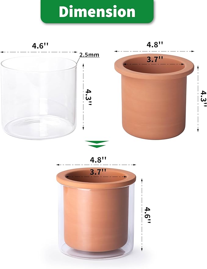 Phoenix Vine 4 Inch Self Watering Plants Pot, Design Terracotta Pot for Plants, Indoor Cylinder Terra Cotta Planter with Glass Vase, Set of 2, 51-A-E-2 Phoenix+Vine