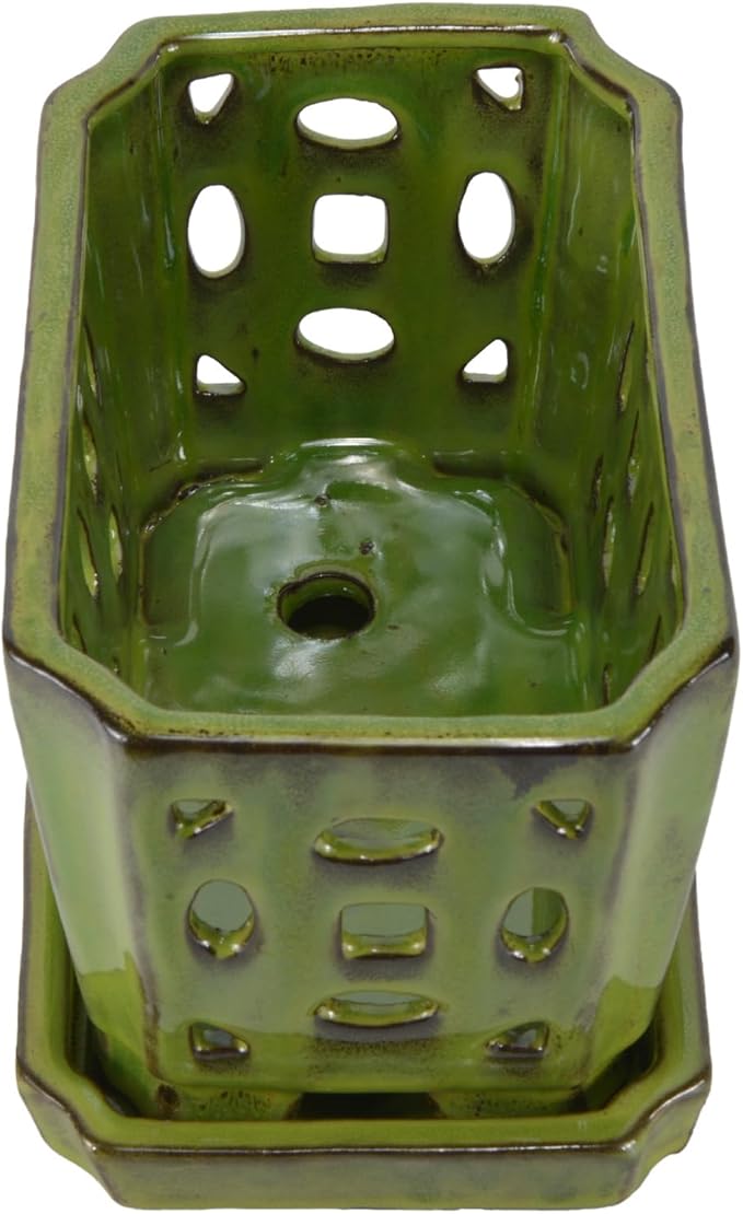 W&W Orchid Pot with Holes and Saucer for Repotting, YellowGreen, 9.7 Inch WWHomeDecor