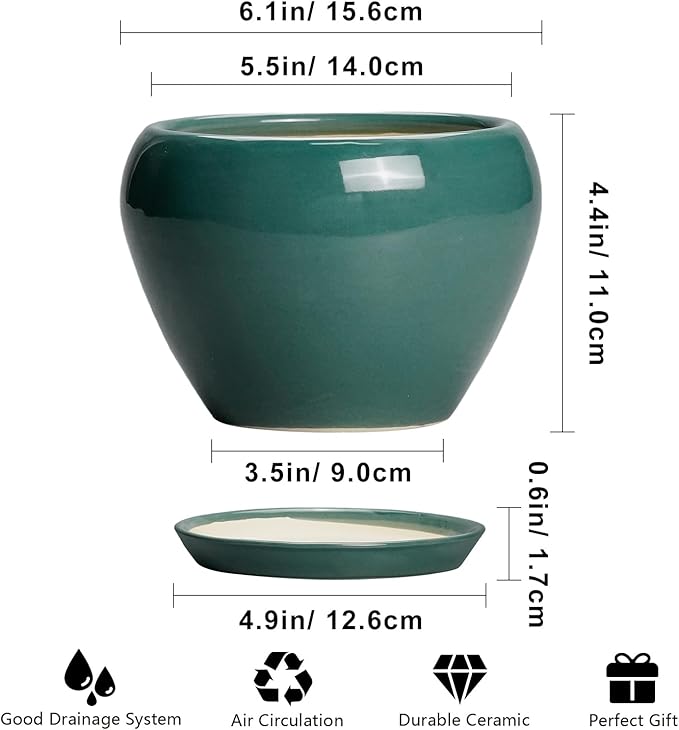 Indoor Plant Pot 6 Inch - Ceramic Planter with Drainage Hole and Saucer, Modern Decorative Indoor Planter for Herb Succulent Plants, Garden Home Decor, Gifts for Plant Lovers, Green Ceramicfor