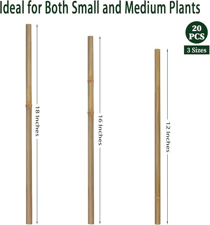 Plant Stakes,12 Inches Natural Garden Bamboo Sticks,BOVITRO 20Pcs Plant Support Stakes for Tomatoes,Beans,Vegetable and Potted Plants BOVITRO