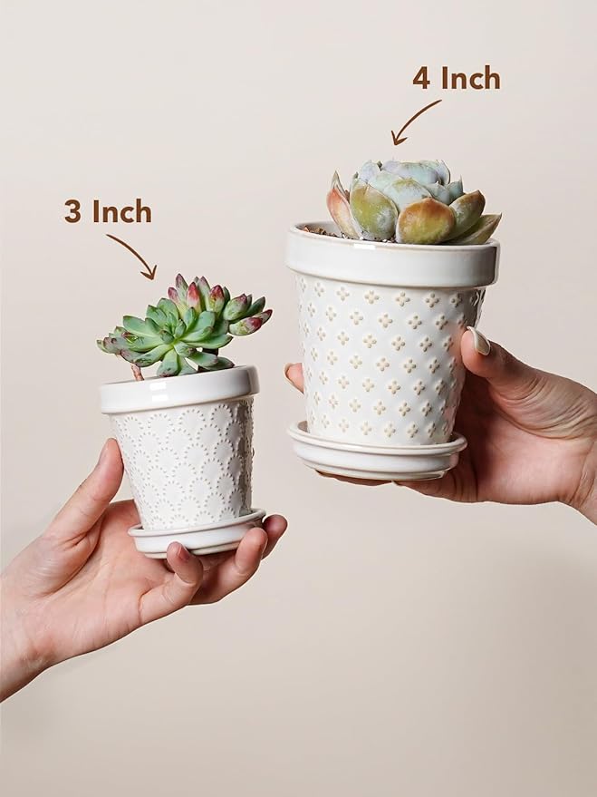 LE TAUCI Ceramic Succulent Pots, 4 Inch Small Plant Pot for Indoor Plant Cactus, Embossed Flower Pots with Drainage Hole & Saucer - Set of 4, Arctic White LETAUCI