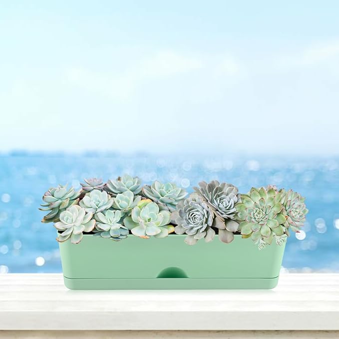 6 Pack Rectangle Planter 16x4.4 Inch Window Boxes Planters Rectangular Large Window Sill Planters Indoor Self Watering Plant Pots with Drainage Holes and Saucers Succulent Herb Flower Pots, Green KvyusFlourish