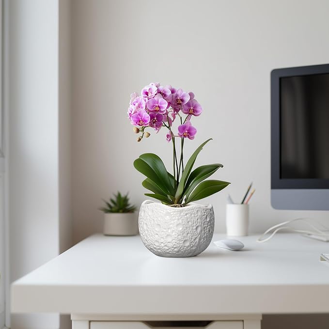 Ceramic Pots for Plants - 6 Inch Plant Pot for Indoor Outdoor, Decorative Orchid Pots with Drainage Hole, Unique Round Modern Planters, Home Decor, Gifts for Plant Lovers, White Thirtypot