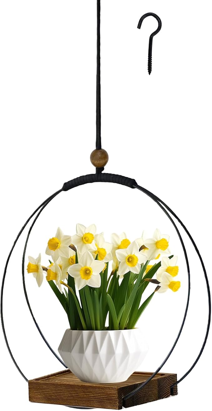 Hanging Planter for Indoor Plants, Black Plant Hanger Indoor with Sturdy Wood Base, Modern Boho Macrame Plant Hanger for 3-5.5 Inch Pot, Hanging Wall Ceiling Window Home Decor (Pots Not Included) hismocal