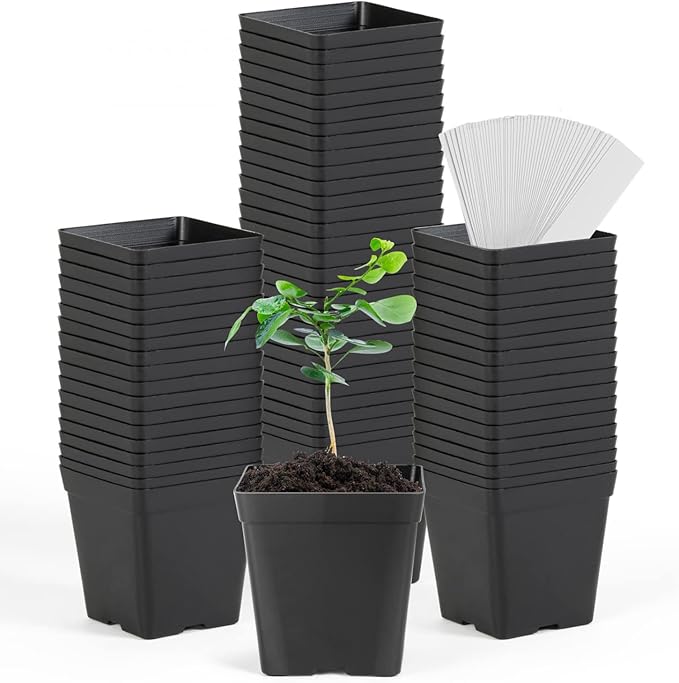 June Fox Square Nursery Pots 3.3 Inches Flexible Plastic Seedling Pots Square Pots for Plants, Succulent, Flower, Pack of 100, with 100 PCS Plant Labels June+Fox
