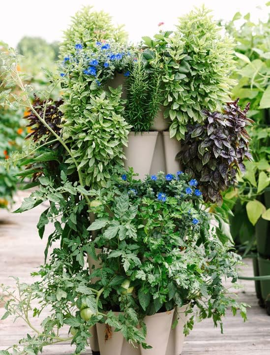 Greenstalk Patented Large 5 Tier Vertical Garden Planter with Patented Internal Watering System Great for Growing a Variety of Strawberries, Vegetables, Herbs, & Flowers (Stunning Stone) GreenStalkVerticalGardens