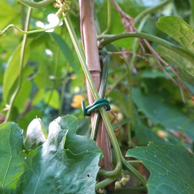 Decoroca Garden Flexible Tie, Soft Twist Plant Ties 32.8' - Green Support Plant Wire, Durable Heavy Duty Vines, Stems & Stalks Decoroca