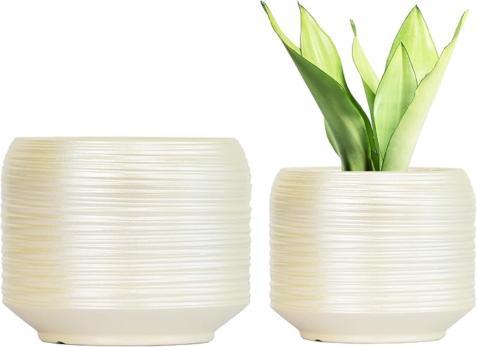 8 Inch + 6 Inch Ceramic Plant Pots Indoor with Drainage – Flower Pot Set, Decorative Indoor Planters for House Plants and Garden Use Bestseler