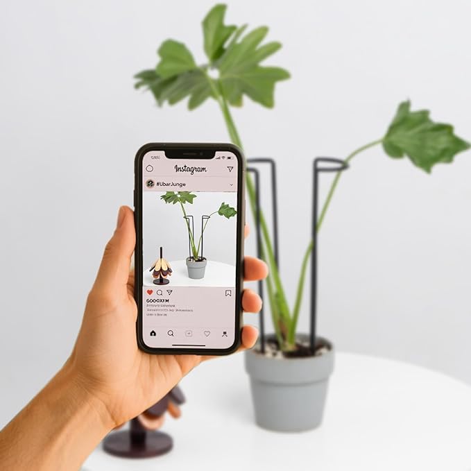 10-Pack Monstera Plant Support - 12 Inch Durable Iron U-Shaped Trellis Stakes for Indoor & Outdoor Medium-Sized Potted Plants - Perfect Stem Holder for Monstera & More Goooxim