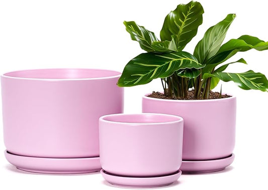Ton Sin Pink Flower Pots,Ceramic Planter Pot for Indoor Plants,Set of 3 Flower Pot with Drainage Holes and Tray,Cute House Plant Pot for Succulent, Orchid, Cactus(Matte Pink) TonSin