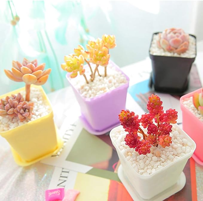 Anyumocz 24 Pack Plastic Square Nursery Pots 3 Inch Plastic Plant Pots,Flower Pot with Tray Saucer for Indoor Outdoor Garden Office Decor Anyumocz