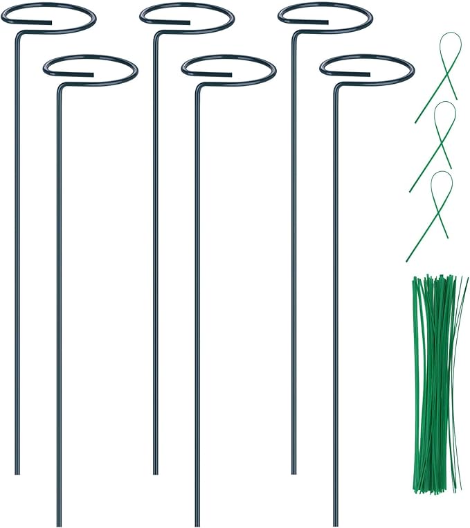 6PCS Single Stem Plant Support Stakes, 16 Inch Monstera Plant Support with 50 PCS Twist Ties, Garden Open Ring Plants Stake, Versatile Plants Stakes for Amaryllis, Rose, Tomatoes, Lily, Peony, Orchid Numyew