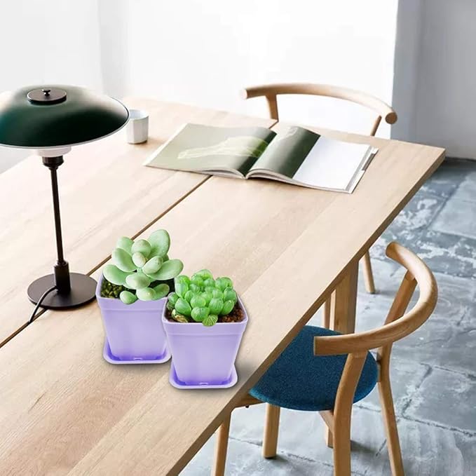 Anyumocz 24 Pack Plastic Square Nursery Pots 3 Inch Plastic Plant Pots,Flower Pot with Tray Saucer for Indoor Outdoor Garden Office Decor Anyumocz