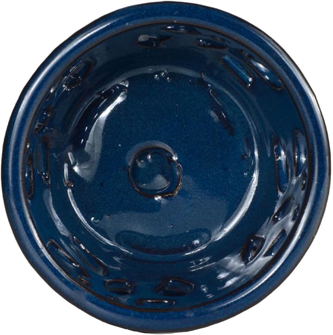 W&W Orchid Pot with Holes and Saucer for Repotting, Blue, 5 Inch WWHomeDecor