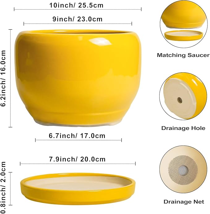 SQOWL 10 Inch Plant Pot - Ceramic Planter with Drainage Hole and Saucer, Modern Large Flower Pot for Indoor Outdoor Plants, Decorative Round Planter, Home Decor, Gifts for Gardeners Woman, Yellow SQOWL