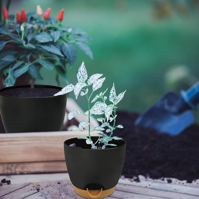 Self Watering Planters with Drainage Holes Reservoir,Nursery Planting Pot for Indoor Decor Garden Plants Succulents,Snake Plant, African Violet,Plastic Flower Pots Set 7+6.5+6+5.5+5 Inch (Black) STSTECH