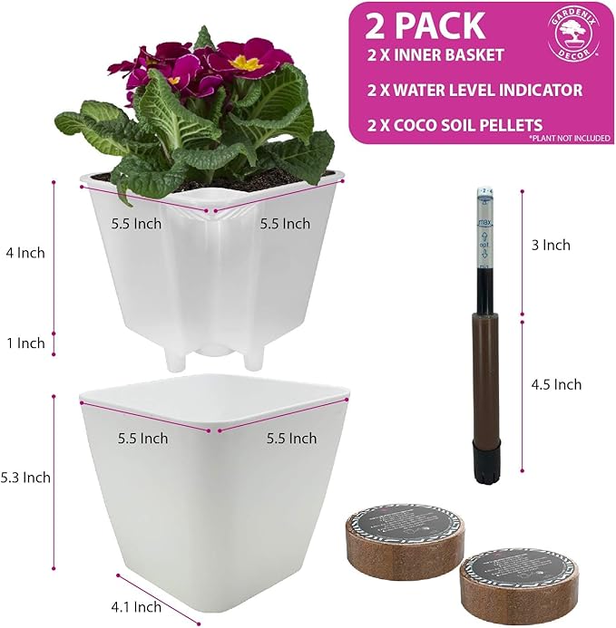 GARDENIX DECOR 5" Self Watering pots for Indoor Plants - Flower Pot with Water Level Indicator for Plants, Grow Tracking Tool - Self Watering Planter Plant Pot – 2 Pack White Rootora