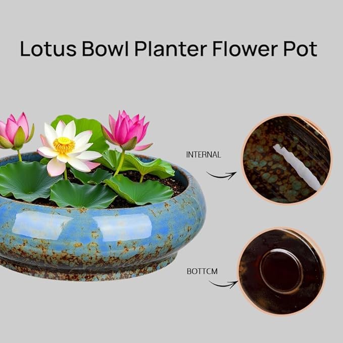 7.3 Inch Succulent Planters Pots Shallow Ceramic Glazed Planter Pots, Lotus Bowl Planter Round Shallow Planter Water Lily Pot for Indoor/Outdoor Plants Decorative (Blue) Rootora