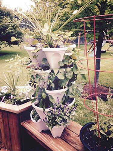 Mr. Stacky 5 Tiered Vertical Gardening Planter, Indoor & Outdoor Mr.+Stacky