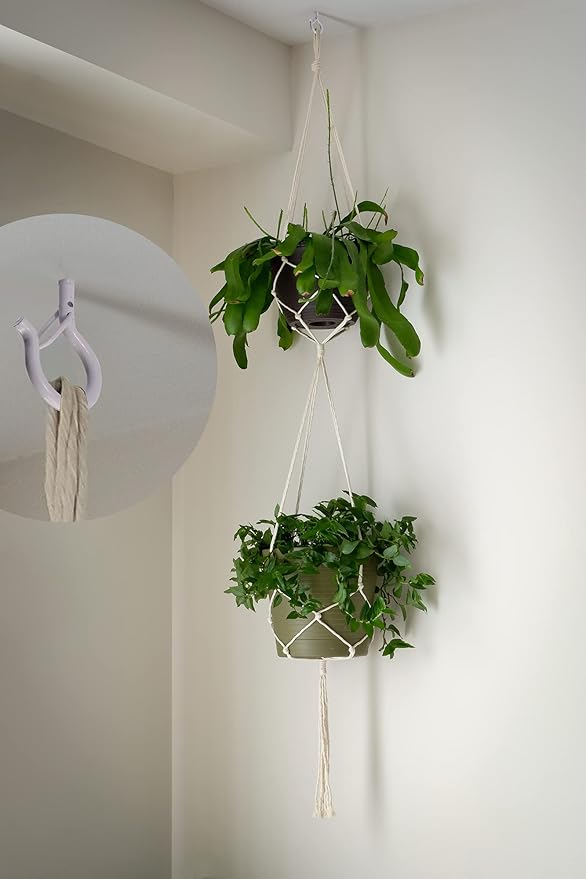 PlusRoc 40 Pack Ceiling Hooks for Hanging Plants Outdoor String Lights Heavy Duty, 2.2 Inch Eye Hook Screw in Cup Hooks Q-Hanger for Patio Lights, Wall Wood Fence Deck Mount(White) PlusRoc