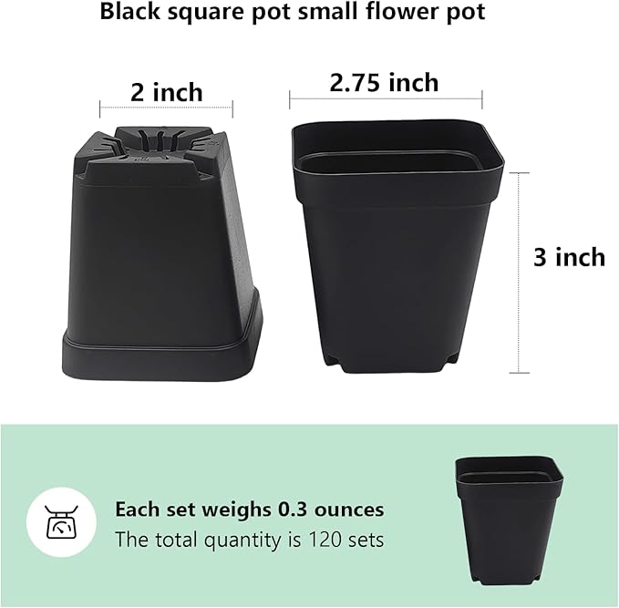 Square Nursery Pots 3" 120Pcs Deep Succulent Plastic Pots Small Flower Planter Seeds Starter Germination Pots with Drainage (Black,2.7Inches,120Pcs) RooTrimmer