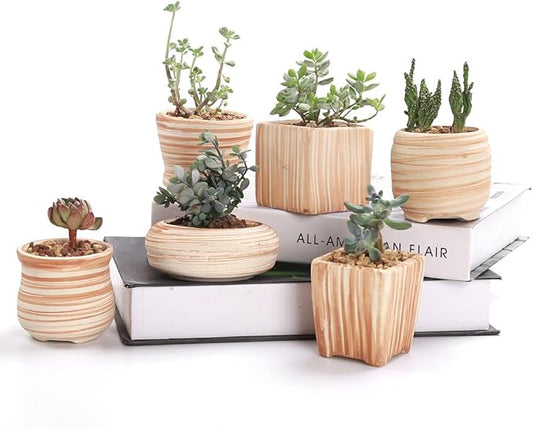 Sun-E 6 in Set 7.6 cm Ceramic Wooden Pattern Succulent Plant Pot Cactus Plant Pot Flower Pot Container Planter Gift Idea SUN-E+SE