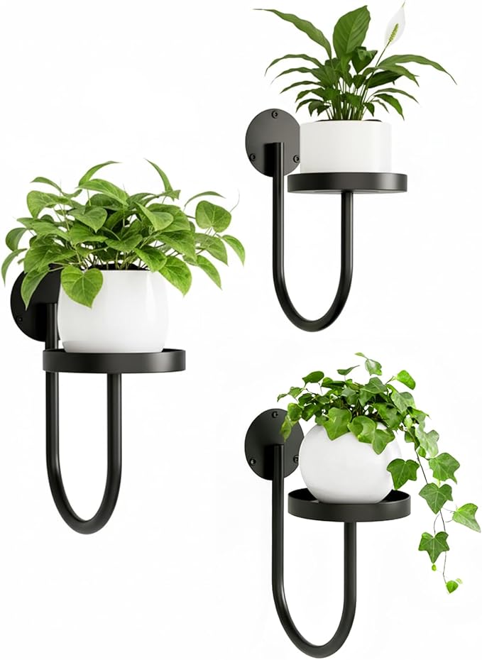 Wall Plant Holder – Hanging Planters for Indoor, Window Planter Shelves & Hanger, Indoor Wall Planters, Modern Plant Decor, Black (3 Pack) Rootora