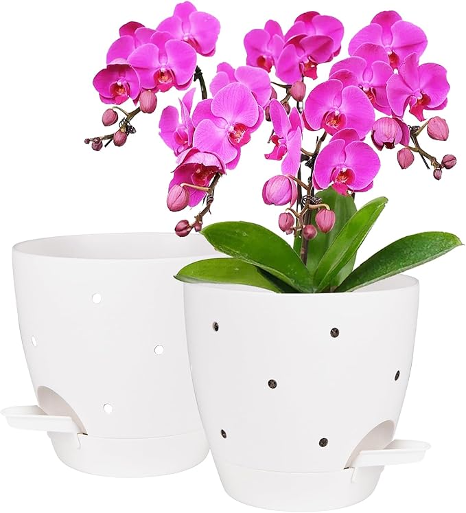 6 Inch Orchid Pots with Holes, 2 Pack Self Watering Planters for Orchids Plastic Orchid Pot Plant Flower Pots for Orchids Indoor Outdoor (White) Vanslogreen