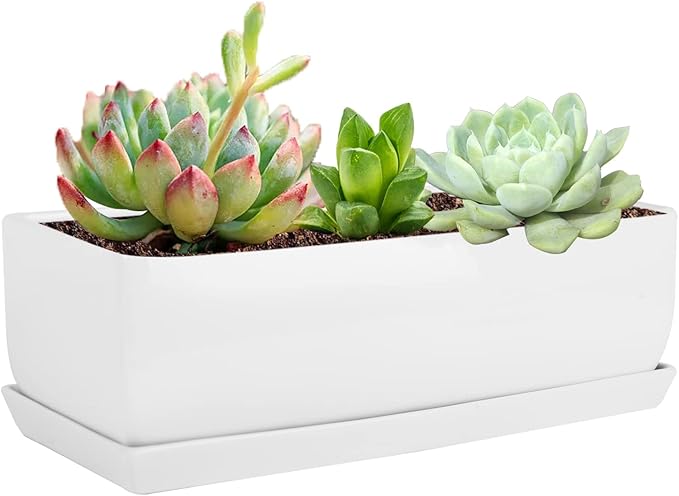 Vencer 14 Inch Rectangular Modern Minimalist Ceramic Succulent Planter Pot - Window Box with Saucer,Office Desktop Potted Stand,White,VF-0173W Vencer
