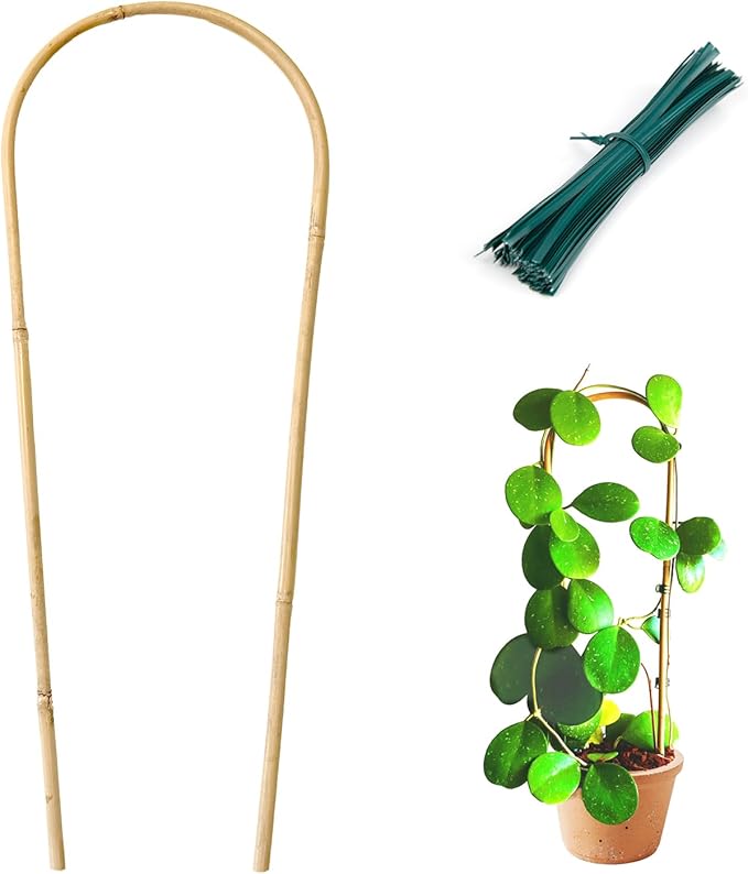 Indoor Plant Trellis for Climbing Plants 16in, 6 Pack Arch Bamboo Trellis for Potted Plants Cambaverd