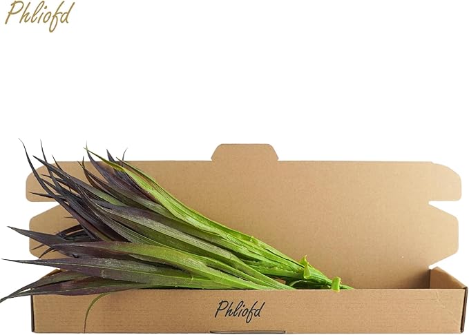 6Pcs Artificial Grass Fake Grass Plants 17.3in Outdoor Plants UV Resistant Faux Greenery Stems for Home Window Garden Office Patio Pathway Front Porch Halloween Décor Light Green & Purple Phliofd