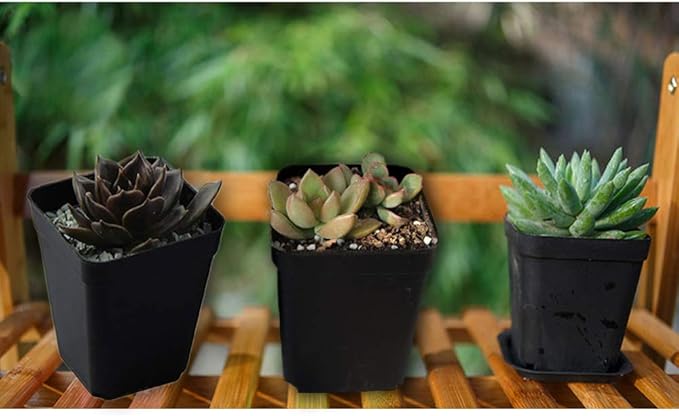 OJYUDD 24 Pack 3 Inch Black Nursery Pot Flower Pots Square Plastic Plant Pot Plastic Starter Pots with Saucer Basket Indoor Outdoor for Your Room,Garden Office and Balcony Decor OJYUDD