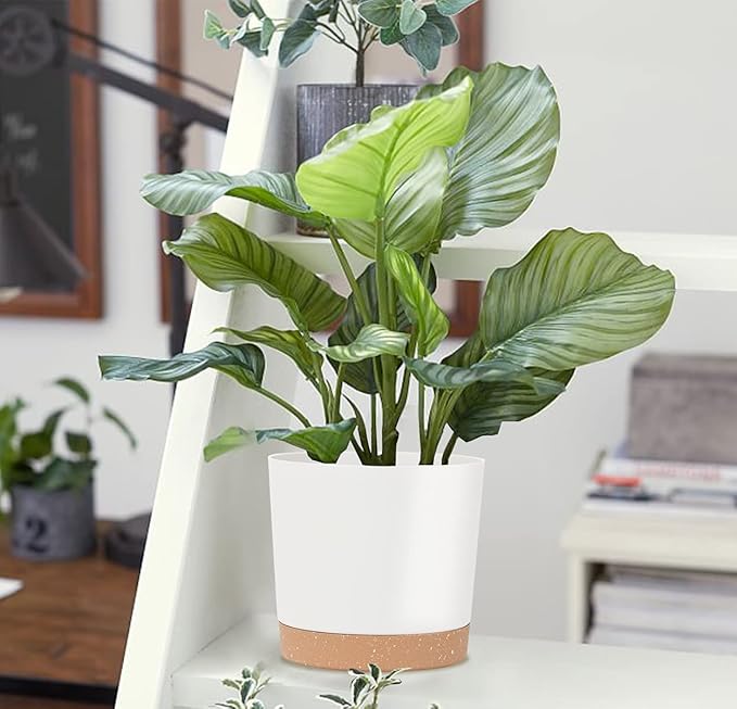 kubvici 8'' Plastic Flower Planter Pots Set of 2 Indoor Outdoor Planters with Drainage Saucer for Garden Home (Green & White, 8 inch) kubvici