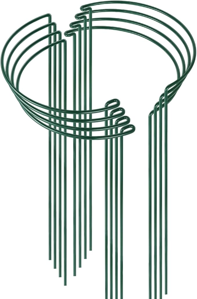 HiGift 8 Pack 24 Inch Plant Support Stakes, 10" Wide x 24" High Half Round Metal Garden Plant Stake Peony Support Cage, Green Plant Support Ring Border for Tomato,Hydrangea,Flower Indoor Outdoor HiGift