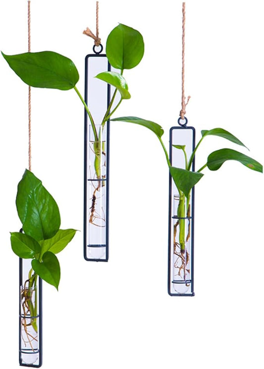 3 Pieces Hanging Glass Hydroponic Planter Transparent Test Tube Plant Vase Terrarium Container for Indoor Outdoor Modern Home Decoration (Black) AQRICHFOX