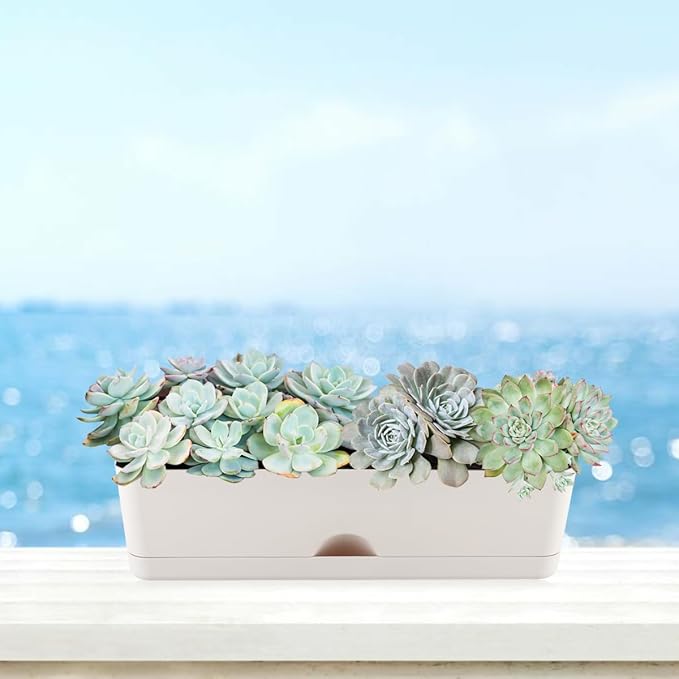6 Pack Rectangle Planter 16x4.4 Inch Window Boxes Planters Rectangular Large Window Sill Planters Indoor Self Watering Plant Pots with Drainage Holes and Saucers Succulent Herb Flower Pots, Light Grey KvyusFlourish