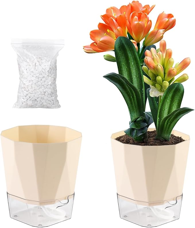 2 Pack Self Watering Pots for Indoor Plants, 8.4" Self Watering Planters Large African Violet Self Watering Clear Pots for Plants Large Herb Orchid Flower Houseplant, Ivory White Planterhoma