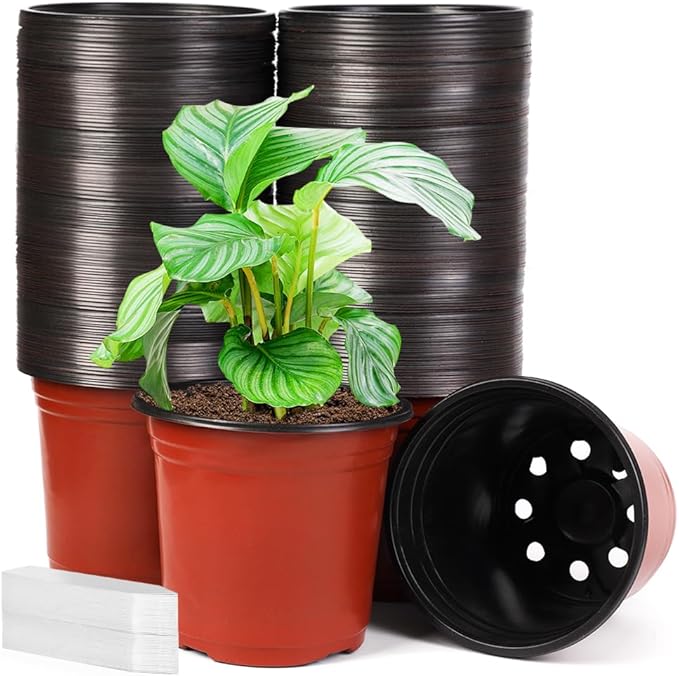 JERIA 200 Pack 6 Inch Plastic Nursery Pots Comewith Drainage Holes, Seedling Flower Plant Container and Seed Starting Pots with 200 Pcs Labels JERIA