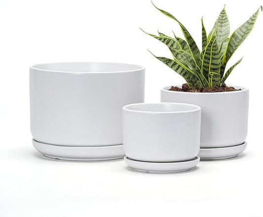 Ton Sin Plant Pots, 4.1+5.1+6.5 inch, Set of 3, Ceramic Planters with Drainage Hole and Saucer, Indoor Flower Pot with Drainage Hole, Gifts for Mom(Matte White) TonSin