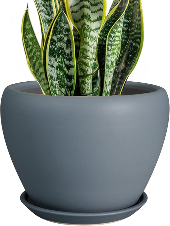Ceramic Pot for Plants - 8 Inch Plant Pot Indoor with Drainage Hole and Saucer Decorative Planter for Outdoor Plants Modern Flower Pot for Home Decor Garden Gray Ceramicfor