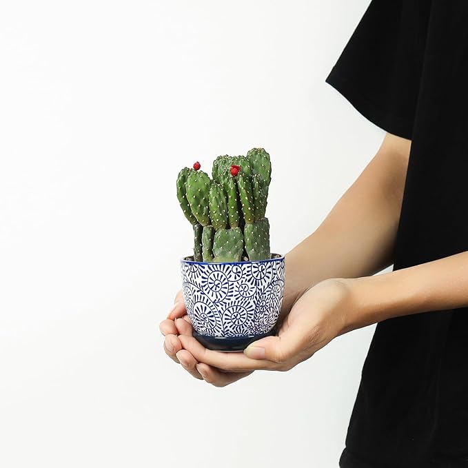 Selamica Ceramic Succulent Pots with Drainage Holes, Small Flower Pots 3.5 Inch Plant Pots for Indoor Plants with Saucers, Cactus Succulent, Home Decor, Set of 4, Vintage Blue Selamica