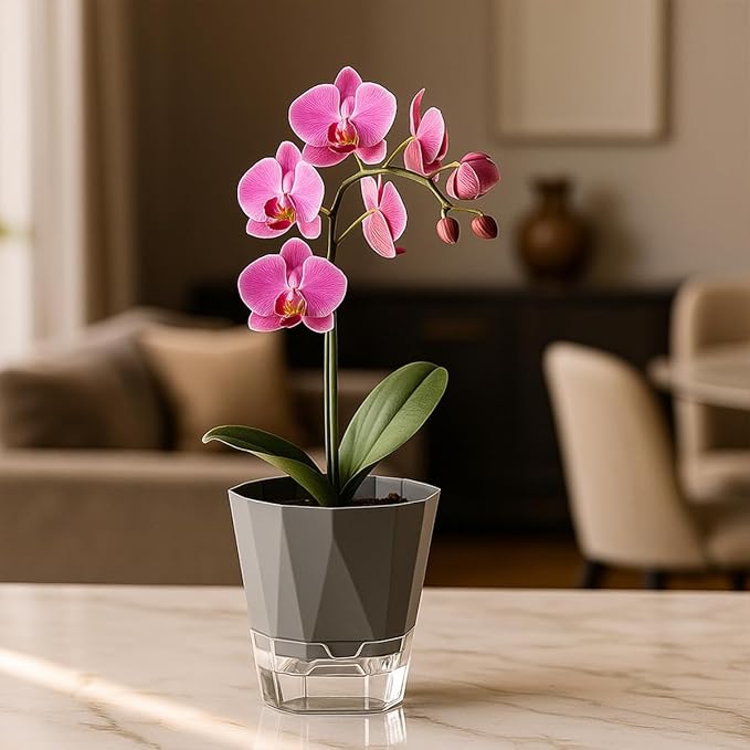 5 Pack Self Watering Pots for Indoor Plants, 5/6.7/8.4 in Self Watering Planters African Violet Self Watering Clear Pots for Plants Herb Orchid Flower Houseplant Pots, Dark Grey Planterhoma