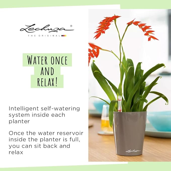 Lechuza MINI-DELTINI Charcoal Metallic, Self-Watering Small Indoor Planter, H5.1 L3.9 W3.9 in LECHUZA