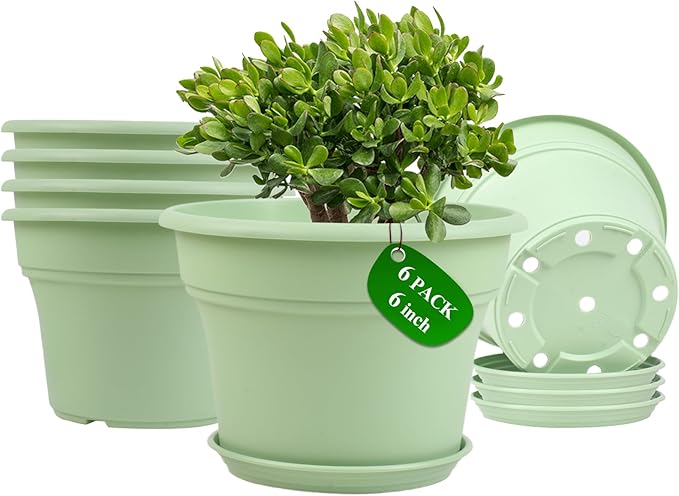 6 Inch Plastic-Flower Pot-for-Indoor Plants, 6 Pack Outdoor Plant Pots with Drainage Holes & Saucers, Resin Garden Pots Planters Pottiffe