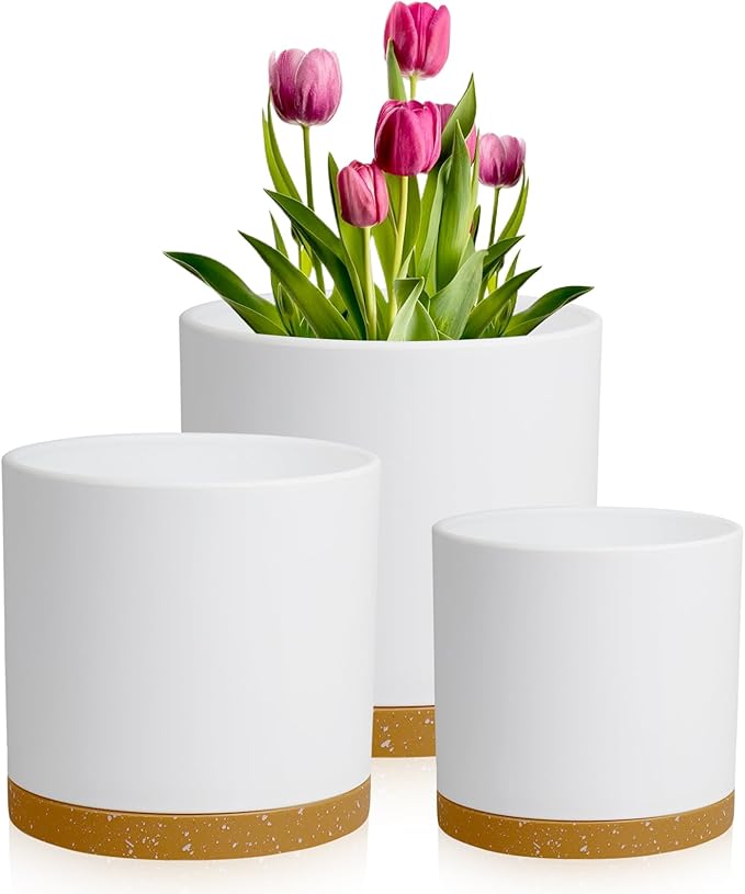 8/7/6 inch Plant Pots, 3 Pack Cylinder Flower Pots for Outdoor Indoor Plants, Decorative Plastic Planters with Drainage Holes and Saucers for Garden House Plants, White with Brown Meowell